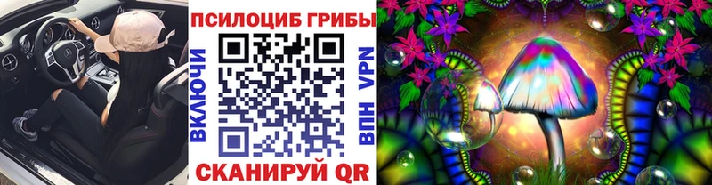 купить наркотики сайты  Белогорск  Псилоцибиновые грибы Cubensis 